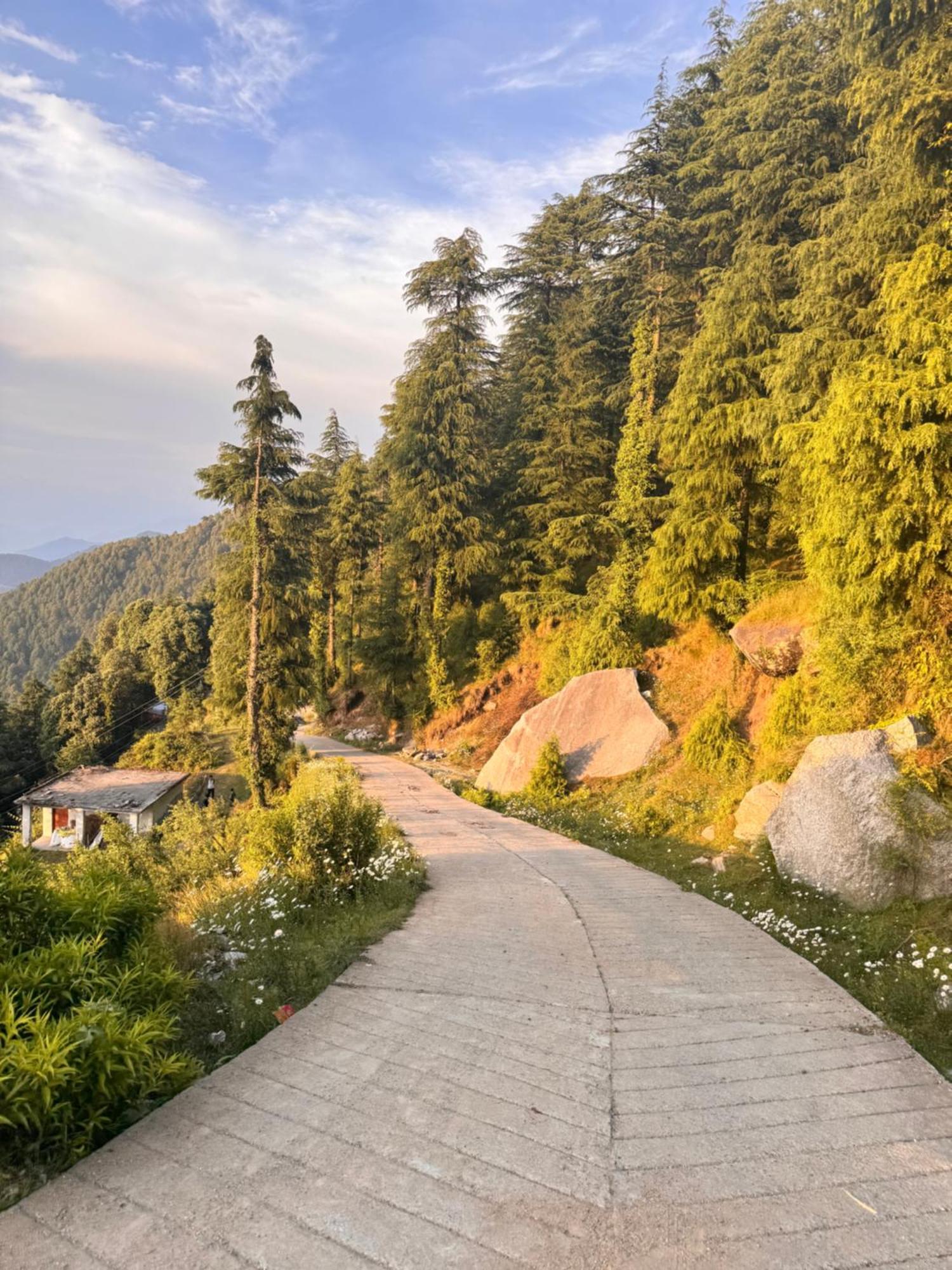 Aditya Homestay 댈하우지 외부 사진