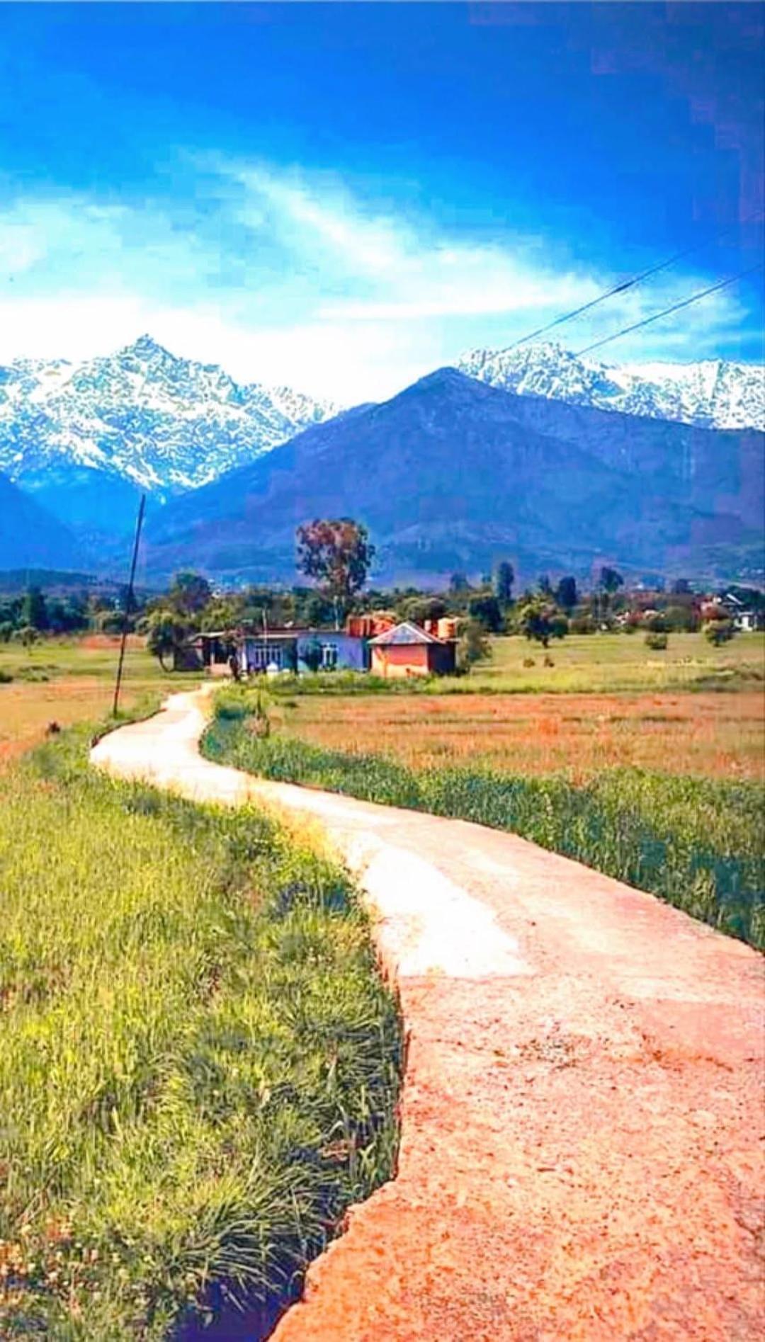 Aditya Homestay 댈하우지 외부 사진