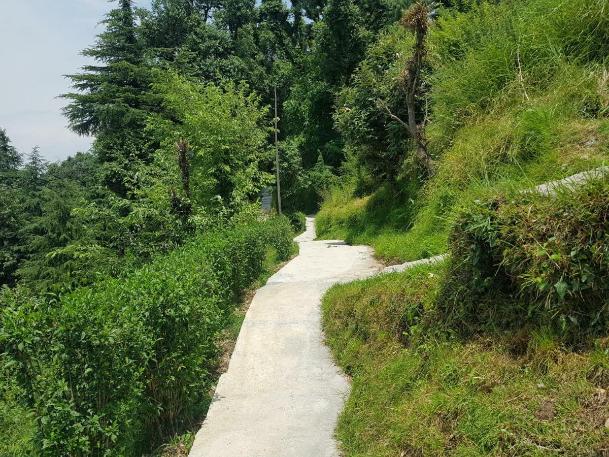 Aditya Homestay 댈하우지 외부 사진