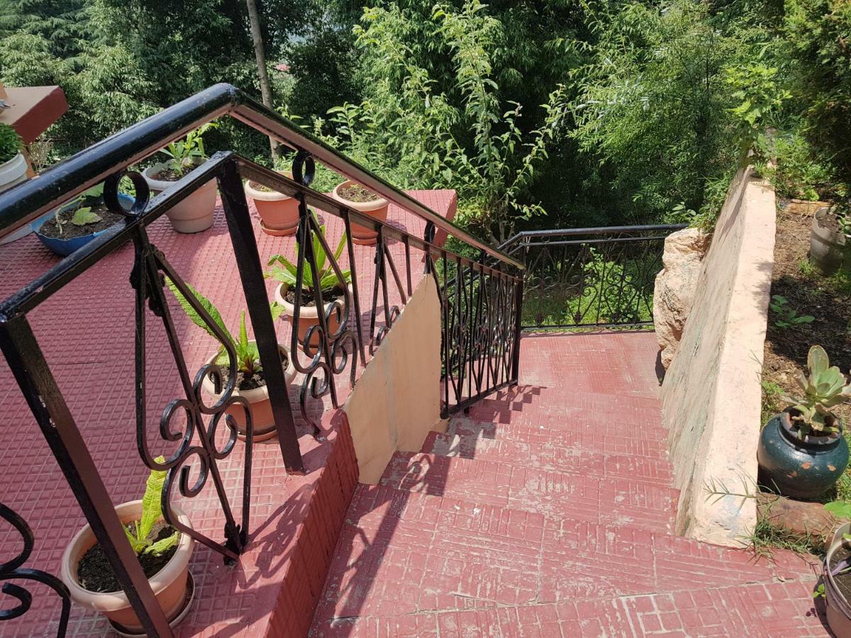 Aditya Homestay 댈하우지 외부 사진