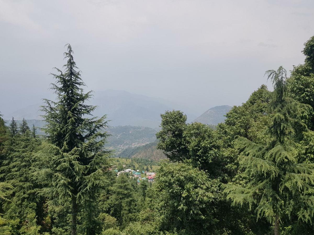 Aditya Homestay 댈하우지 외부 사진